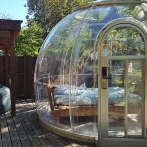 Bulle Passion